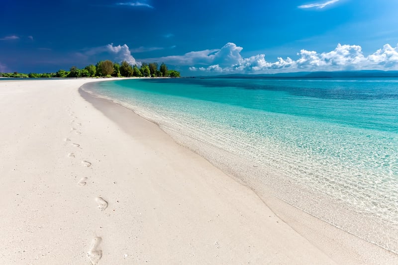 Beachside Oasis