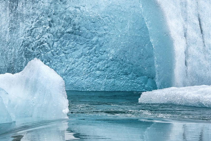 Arctic Expedition